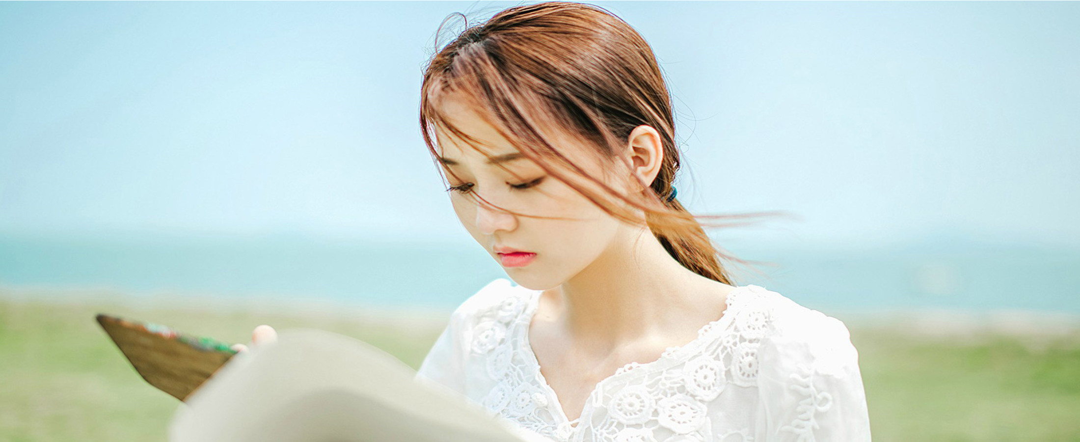 台湾风信子伴游网_台湾伴游